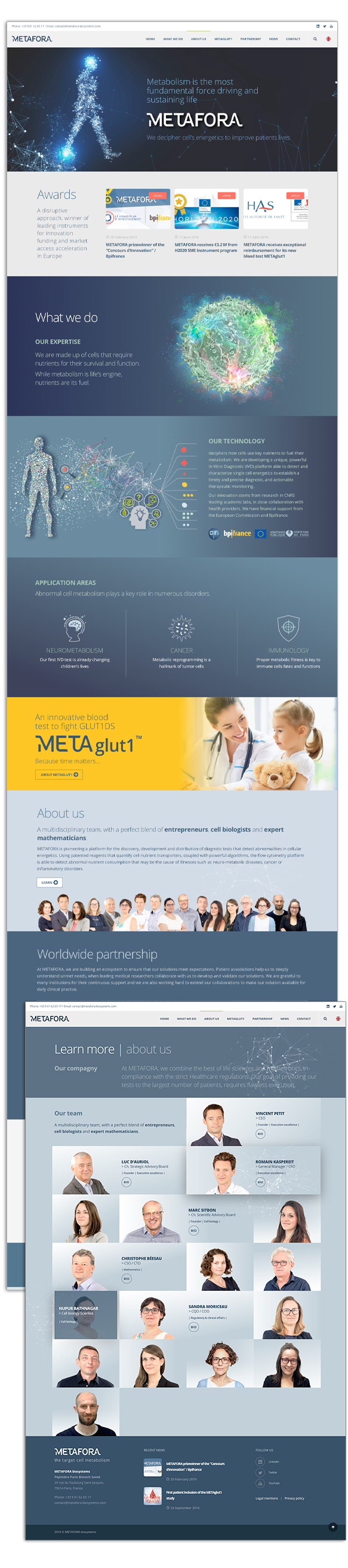 Cayet Web design Paris Metafora-biosystems | Marie Cayet, Montreuil